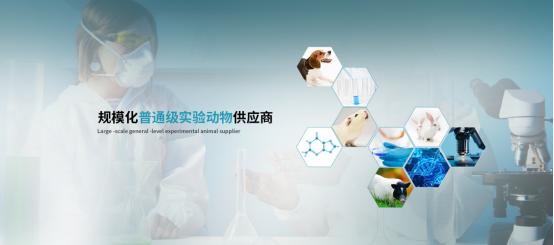 恭喜上海甲干生物科技中標(biāo)蘇州大學(xué)實(shí)驗(yàn)動(dòng)物供應(yīng)商