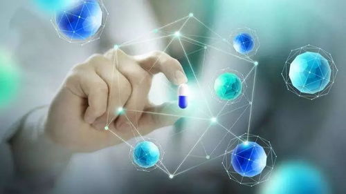 科技驅(qū)動，創(chuàng)新引領(lǐng)——熱烈祝賀杭州芙源生物與杭州美依生物榮獲浙江省科技型中小企業(yè)認定